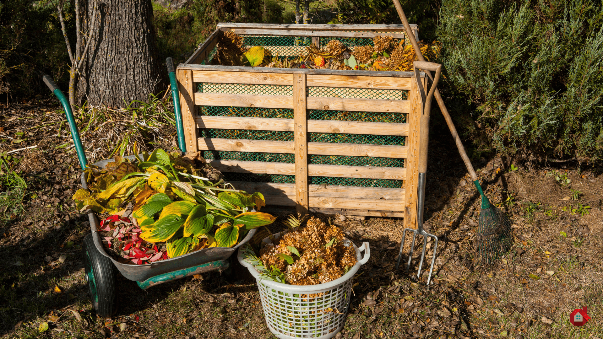 Compost in a bin