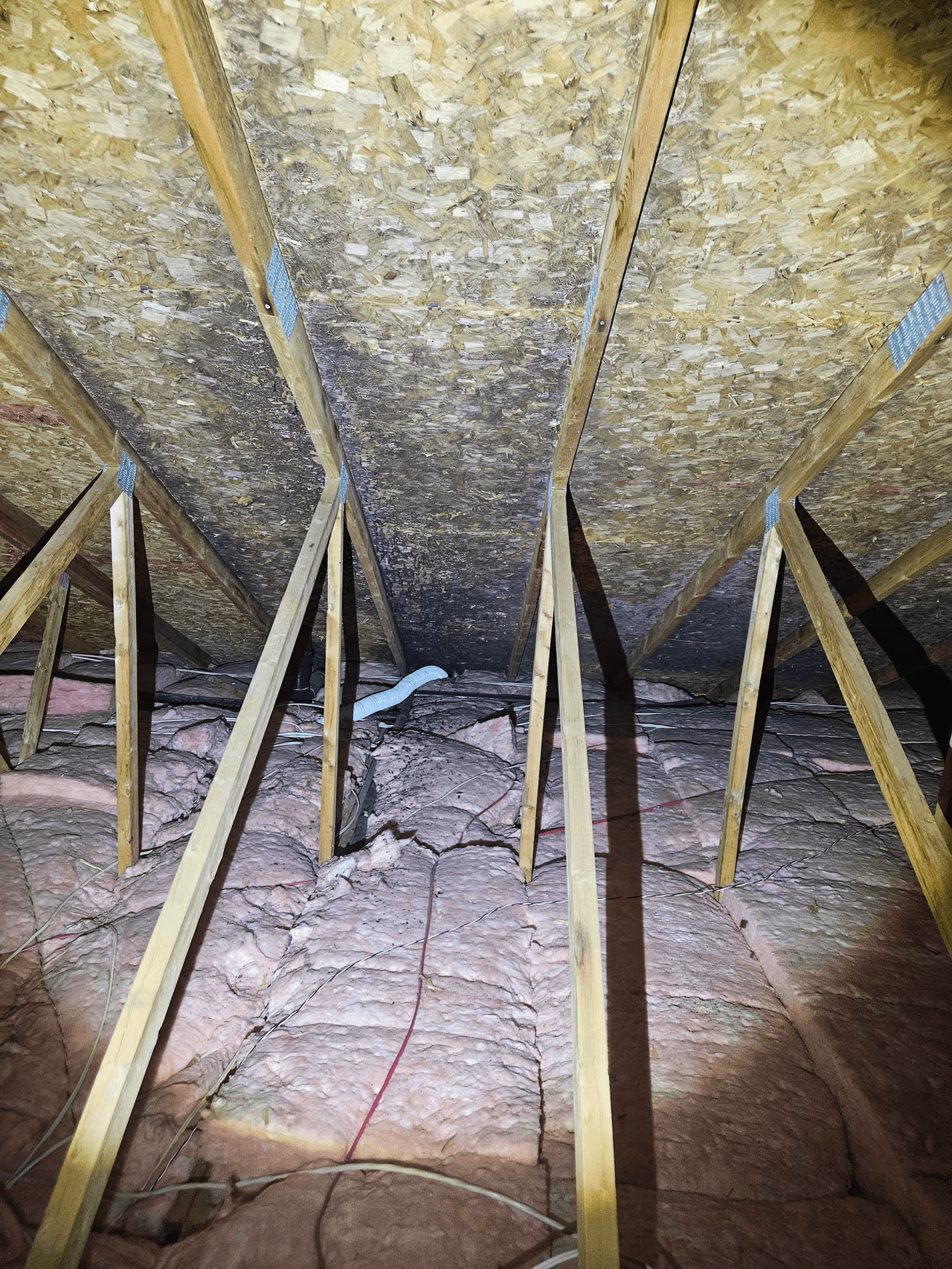 Attic with pink fibreglass insulation, wood framing, and signs of moisture or mold on the roof sheathing.
