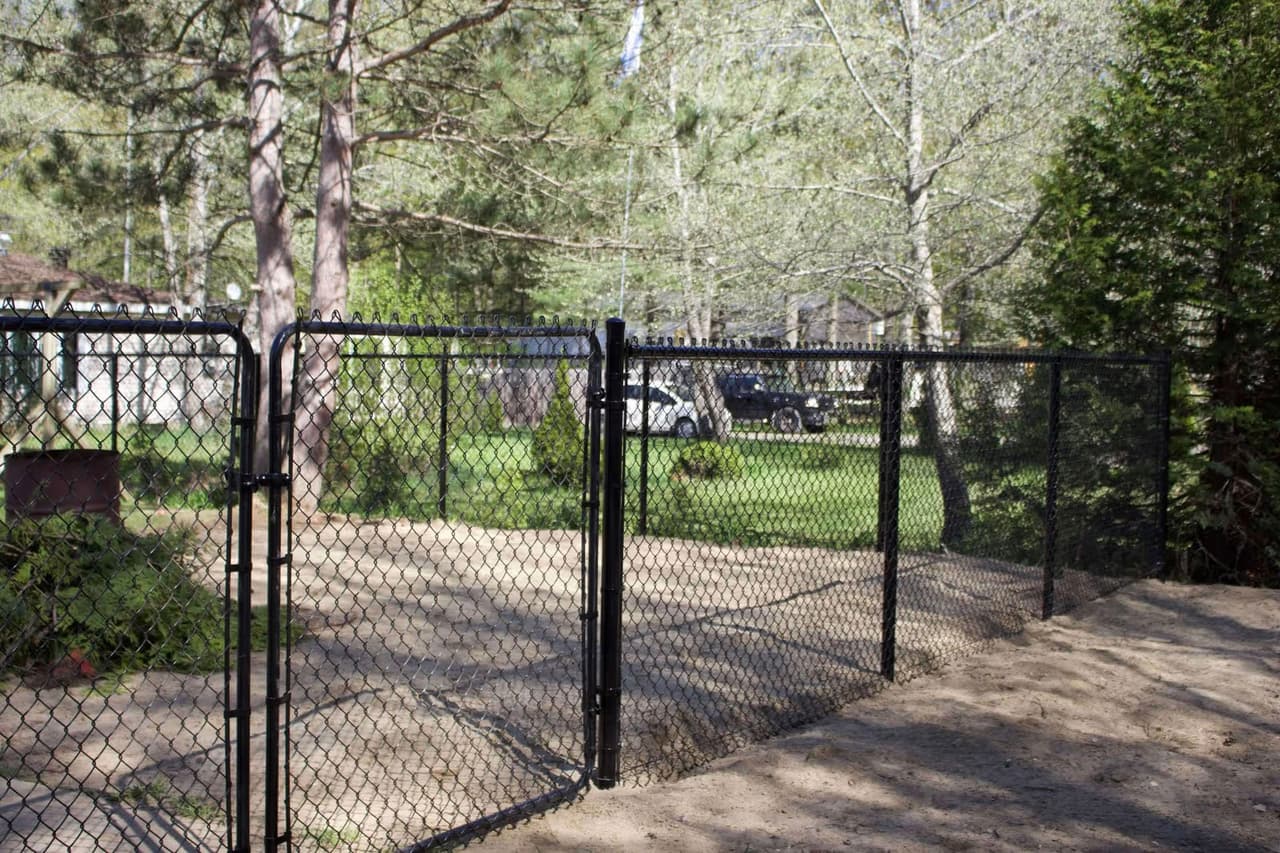 Black chain-link fence with double gate installed around a wooded residential property with mature trees, lawn and gravel driveway.