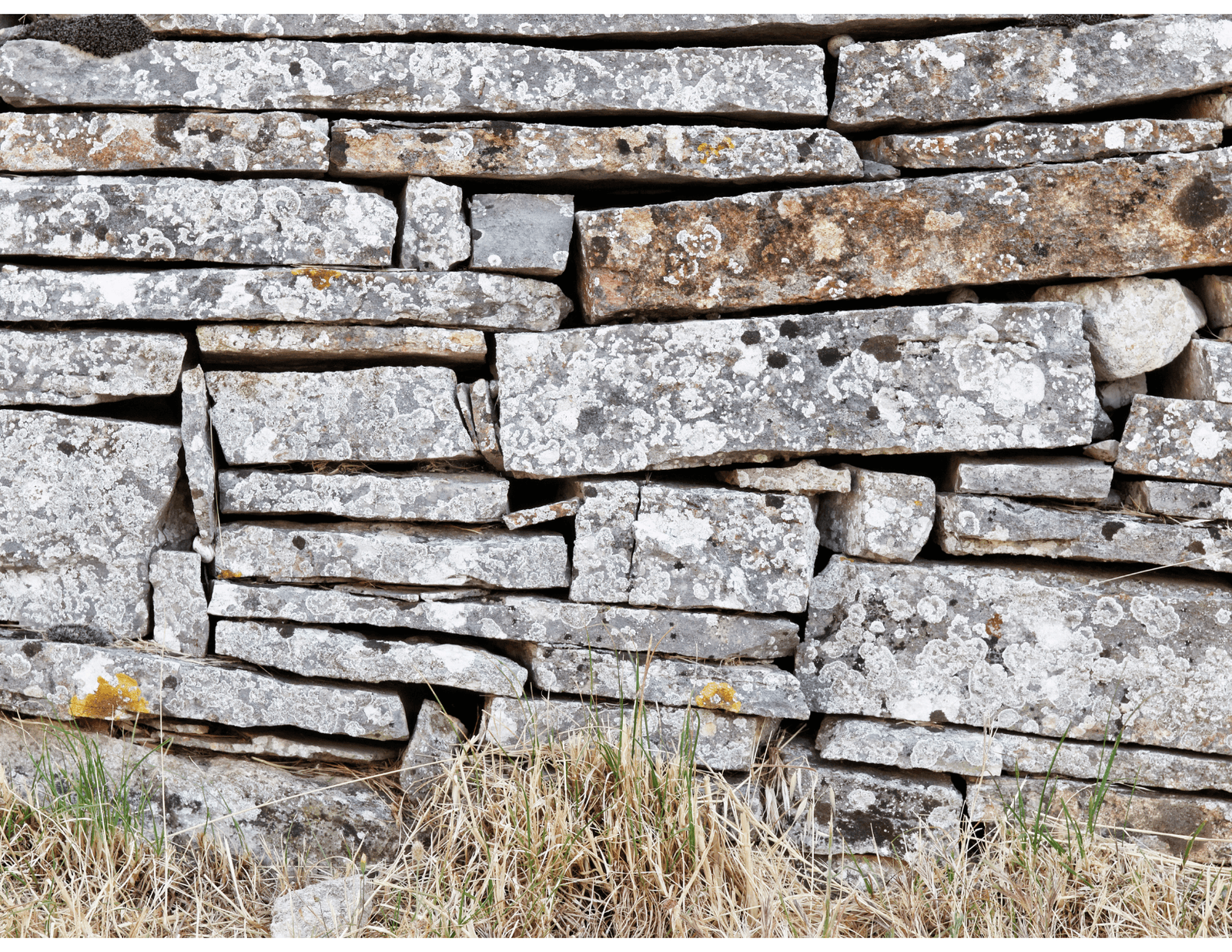 Stacked stone rubble foundations made of irregular blocks with natural, weathered tones, featuring small grasses growing at the base, showcasing a traditional construction style.