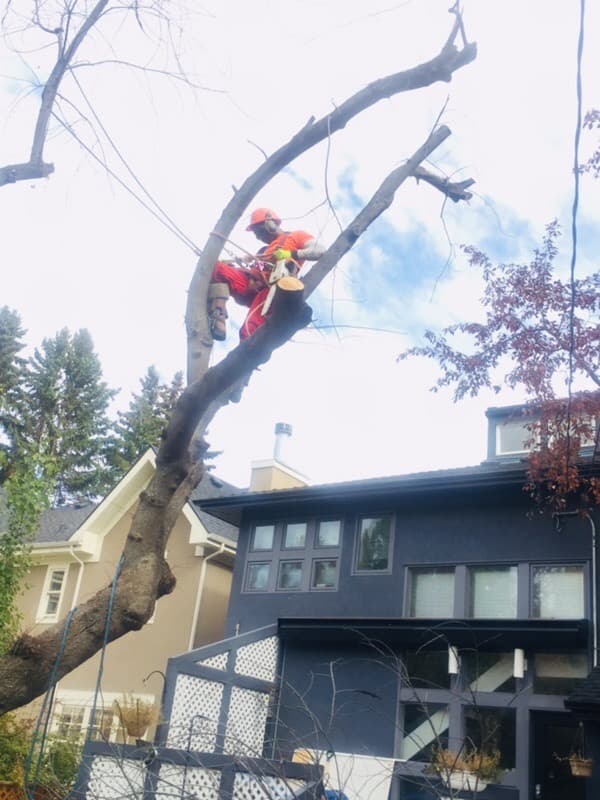 contractor-profile-logo