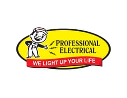 Professional Electrical