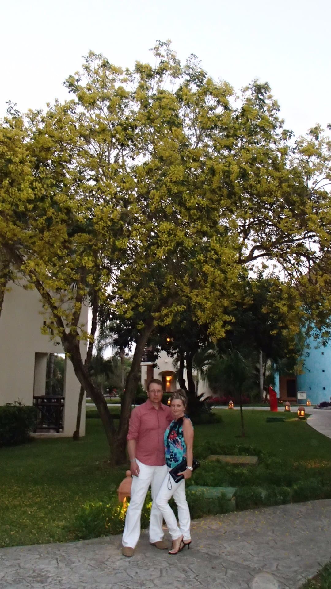 contractor-profile-logo