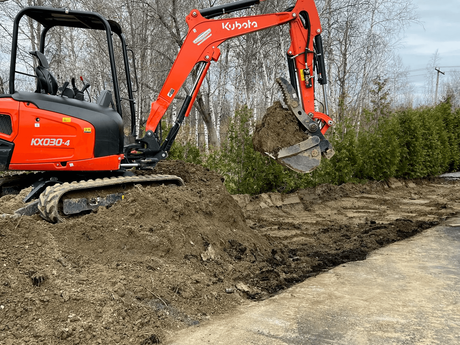 Orange Kubota mini excavator in action on an excavation site, digging soil with its hydraulic bucket in front of a hedge of trees.