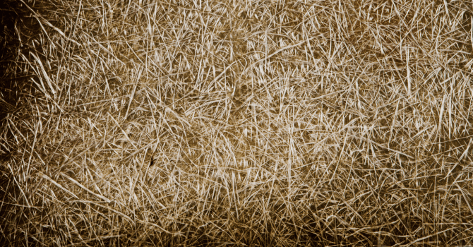 Close-up of dense fibrous insulation material made of numerous intertwined natural or synthetic fibers.