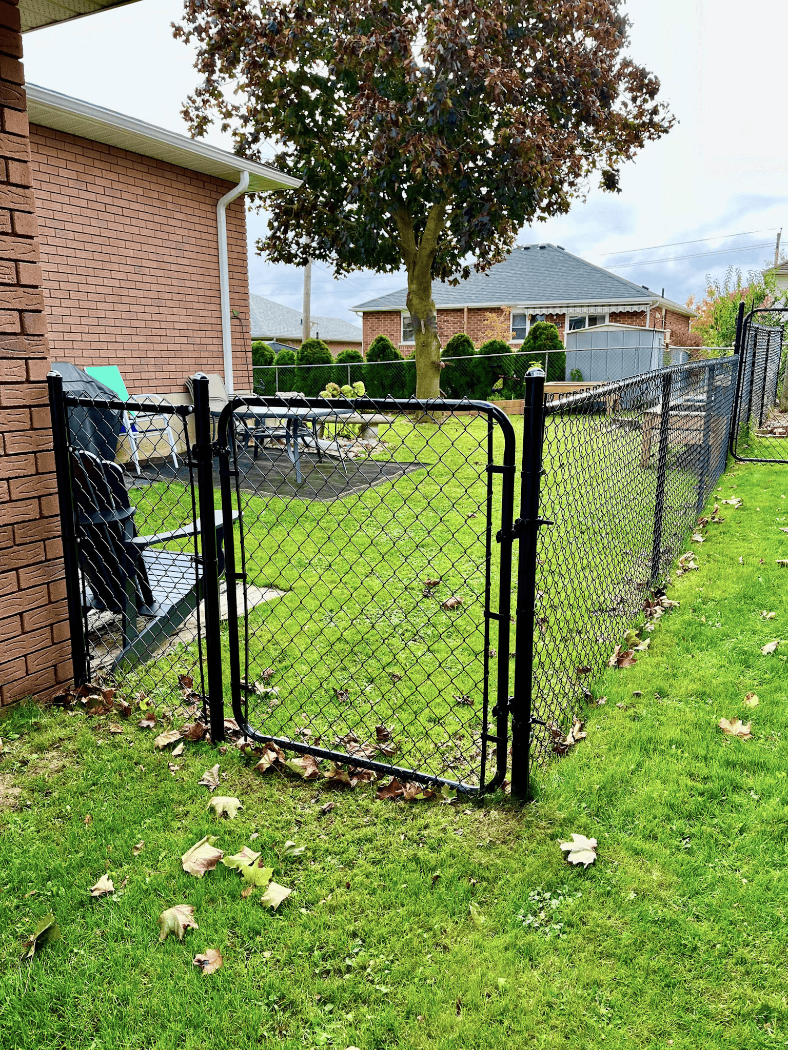 Black chain-link fence with gate in a grassy residential backyard surrounded by a large tree, hedges and brick houses.