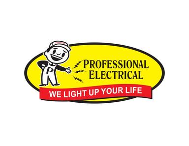 Professional Electrical