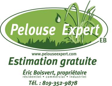 Pelouse Expert EB