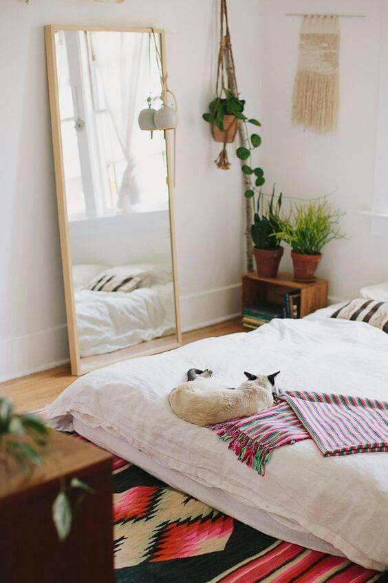 Room with plants and light