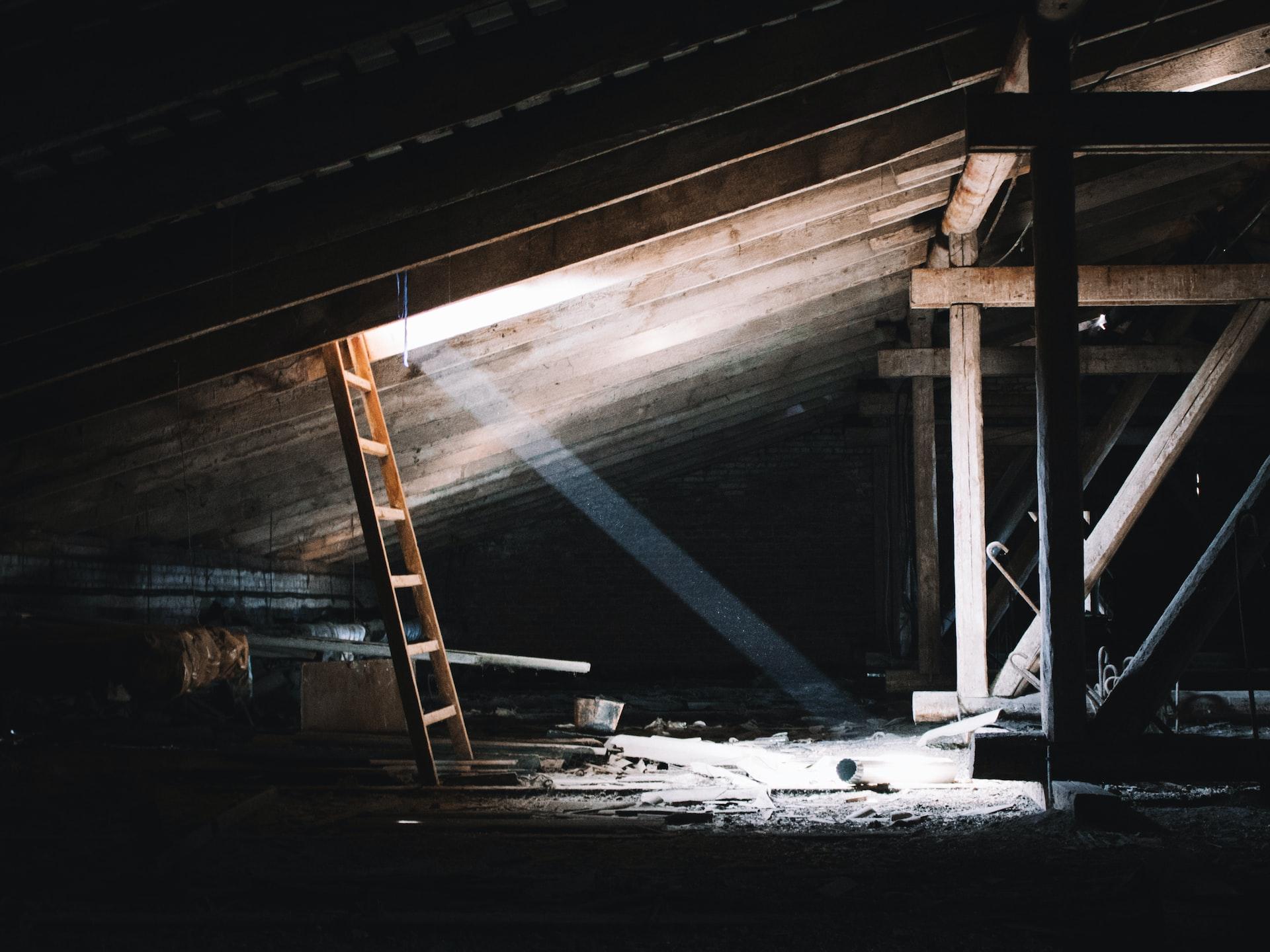 Attic mould remediation 