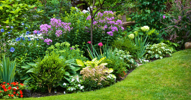 How to choose your flowers