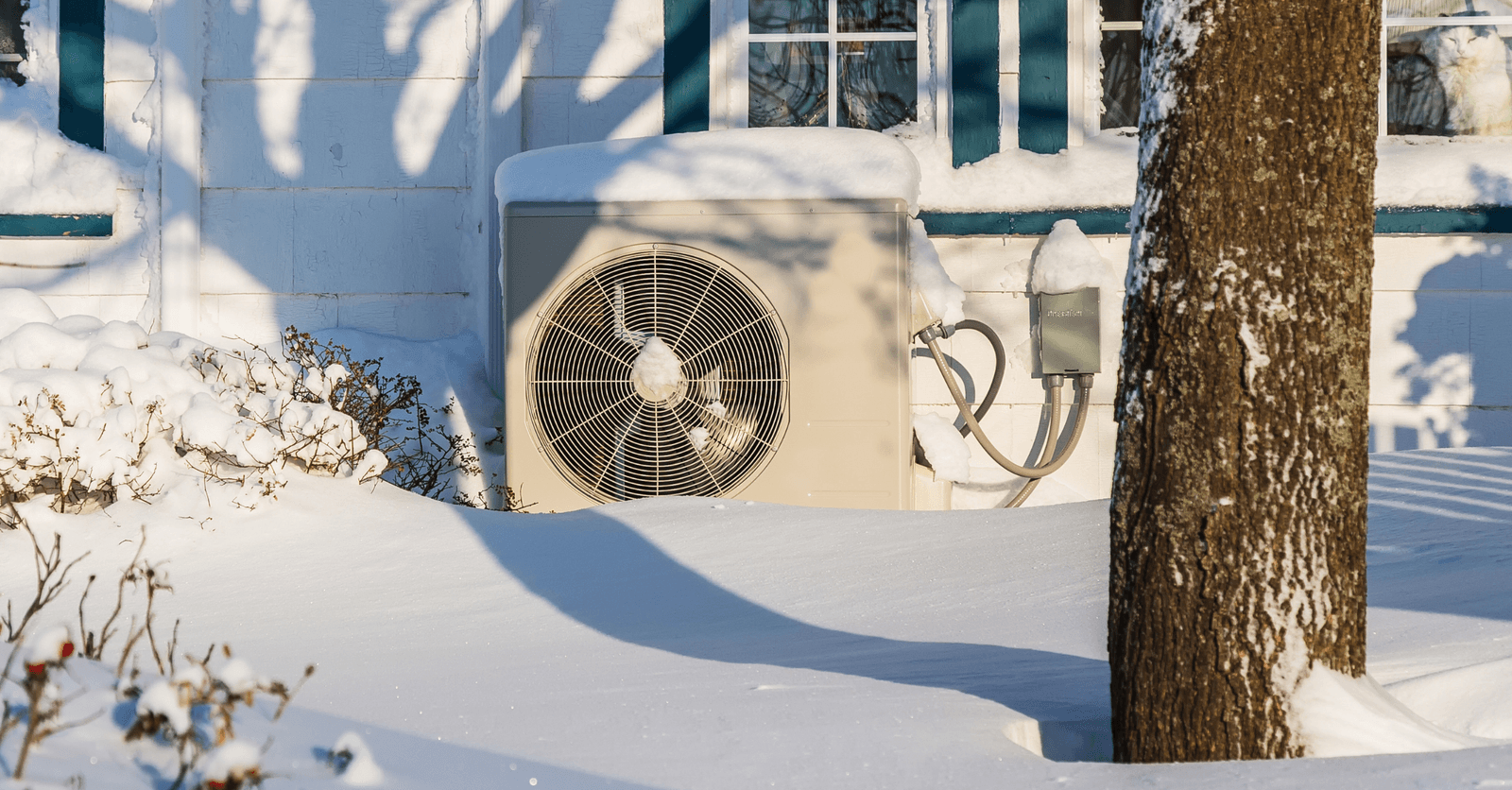 <i>Source: Canva</i>