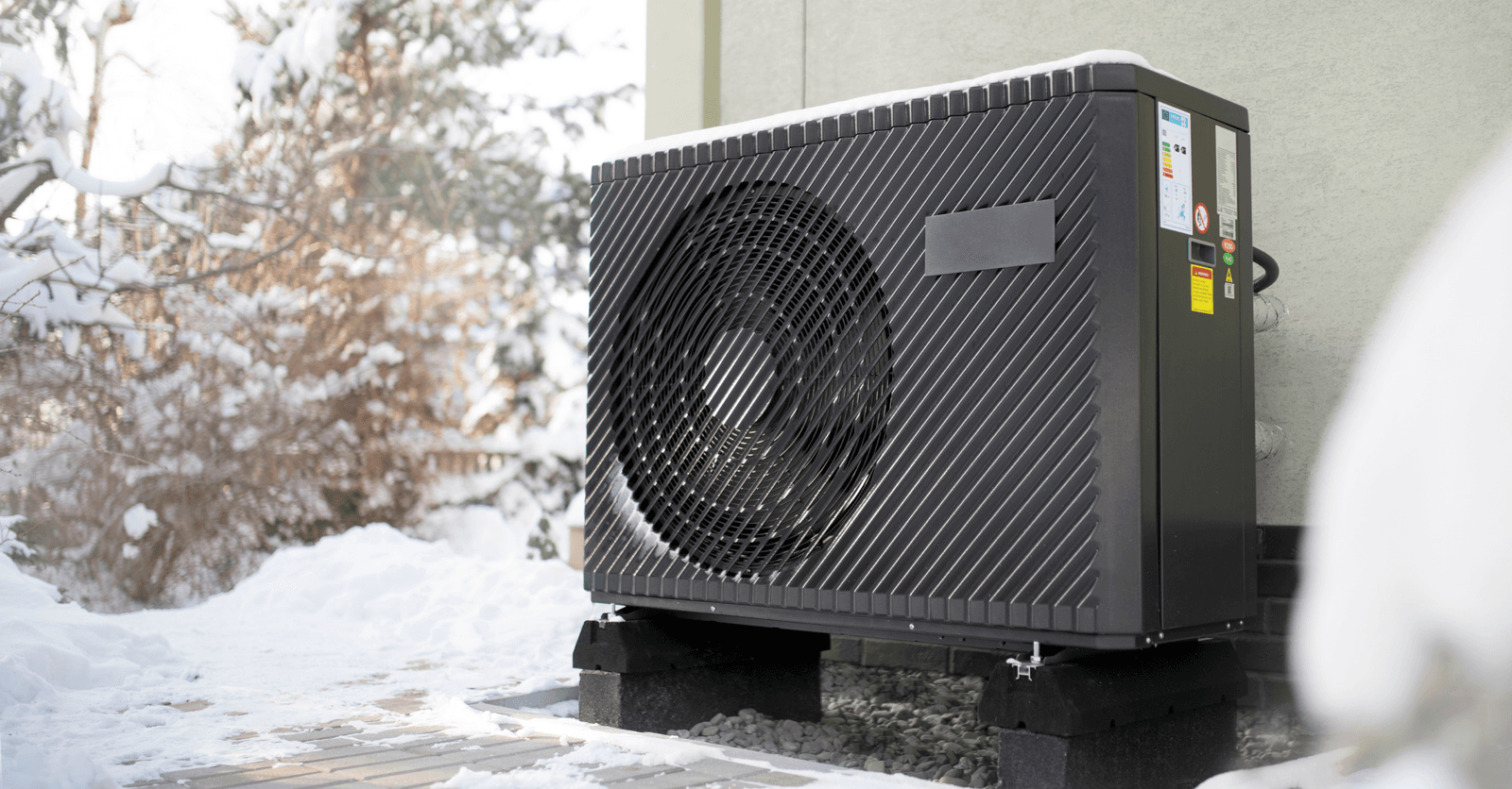 <i>Source: Canva</i>