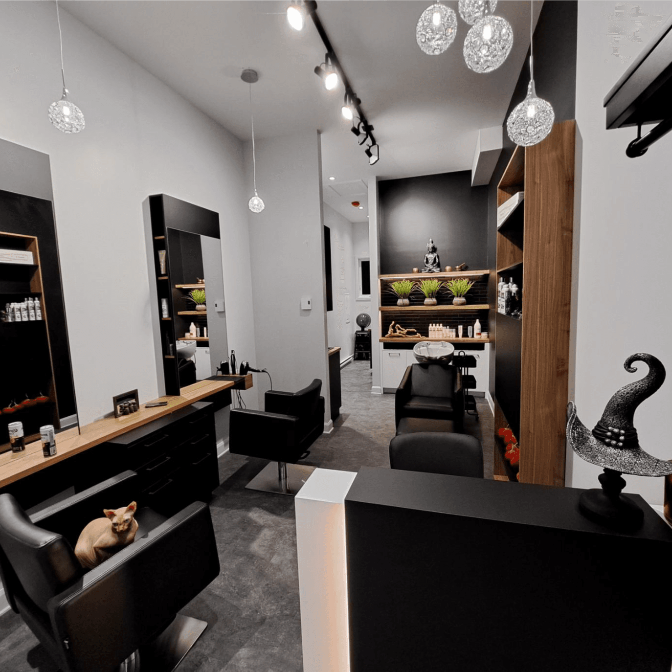 contractor-profile-logo