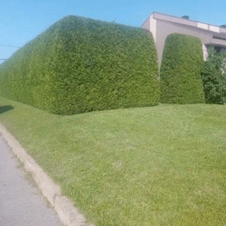 contractor-profile-logo