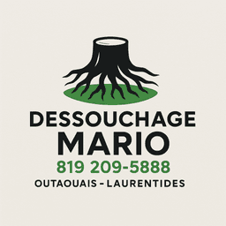 Mario jr Allard chenier