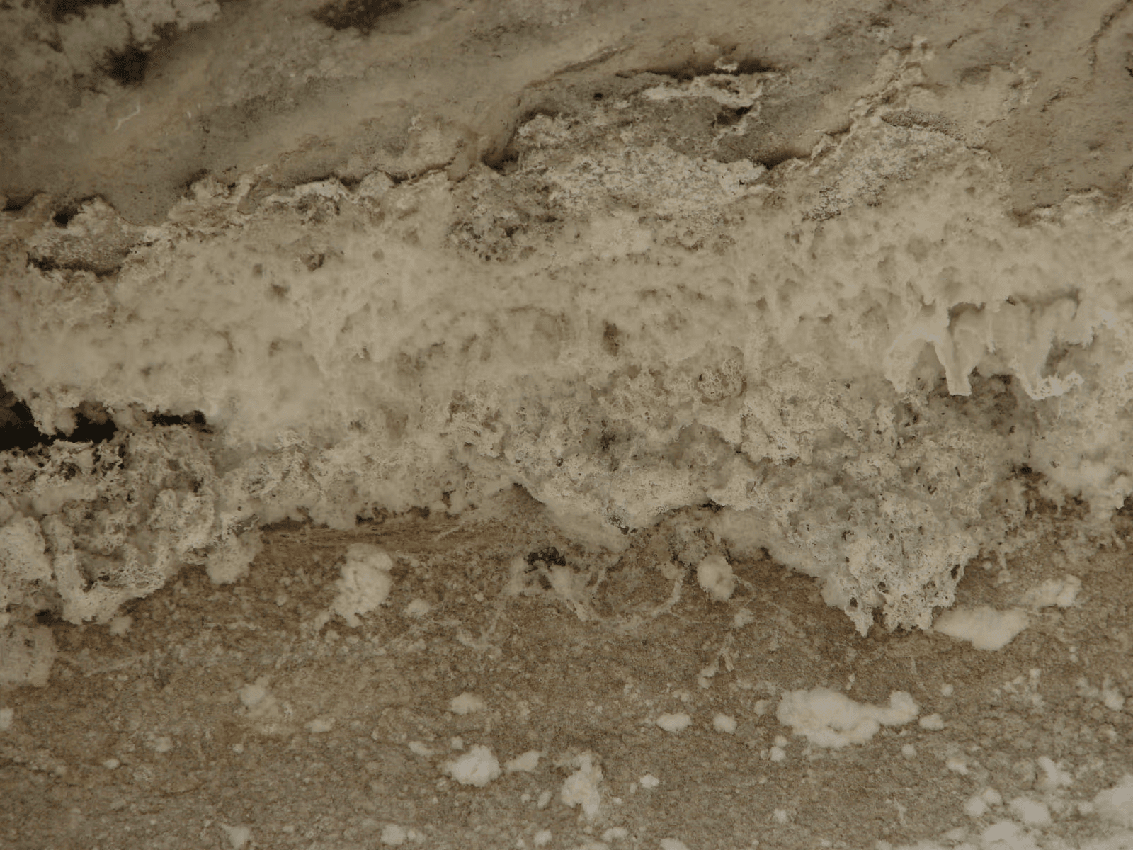 Heavy white efflorescence and mineral salt deposits on a deteriorated concrete surface associated with prolonged moisture exposure.