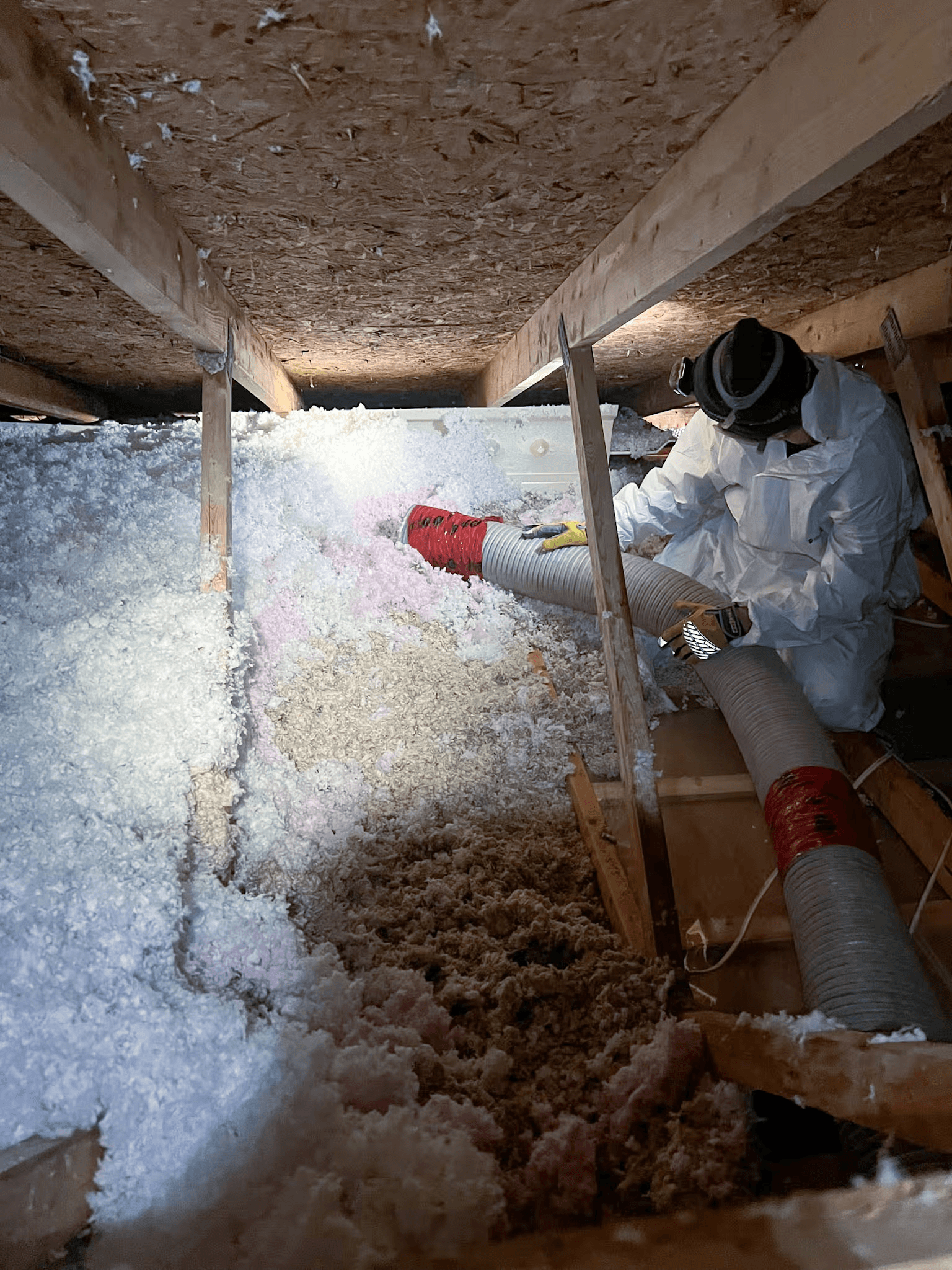 Insulation technician working in an attic with protective equipment, a blowing hose, and loose-fill insulation installed between the framing members.