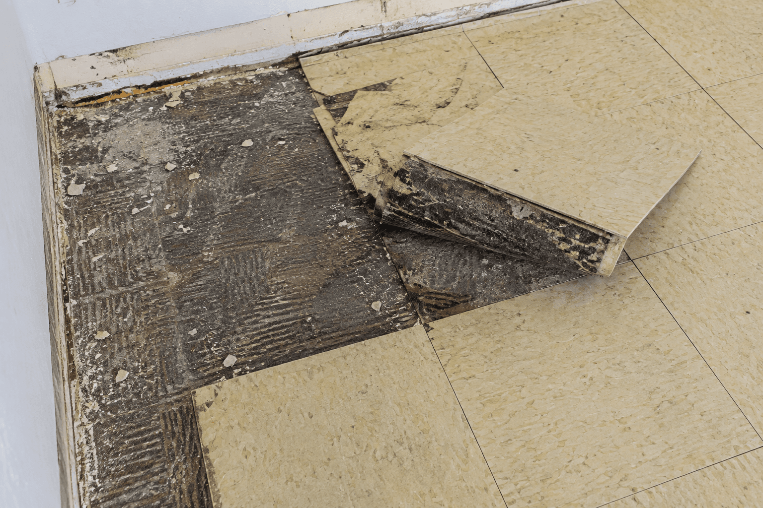 Old floor tiles partially removed, exposing black adhesive and the subfloor surface during renovation work