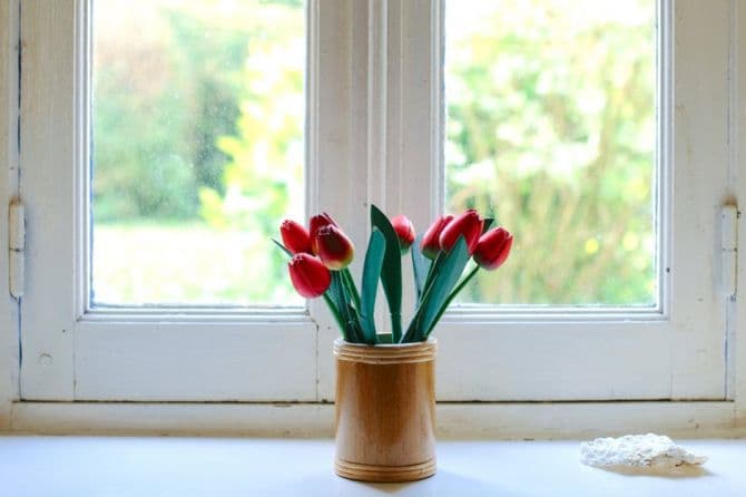 flowers in front of a window_how to install a new window
