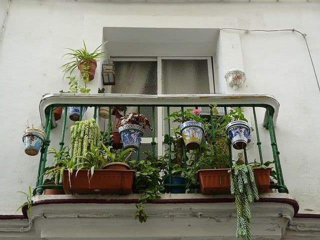 balcony guardrail plants_renoquotes.com