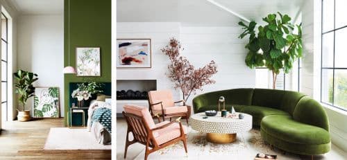 green wall paint living room