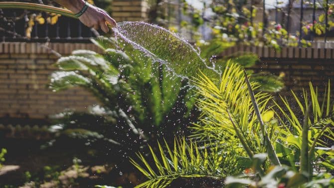 watering garden_4 Ways to Reduce Water Usage