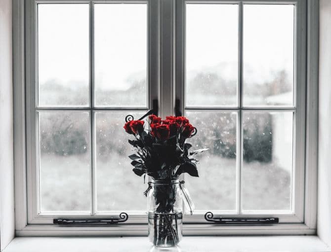 white window frame with bouquet of roses_4 common window problems and how to fix them