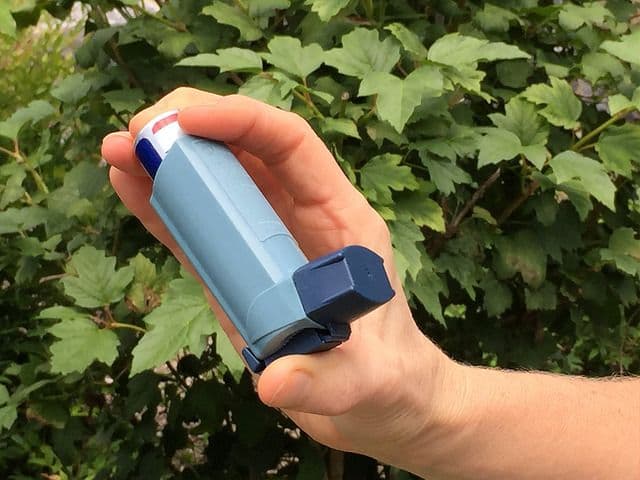 asthma inhaler_Moisture and Organic materials: a breeding ground for mould