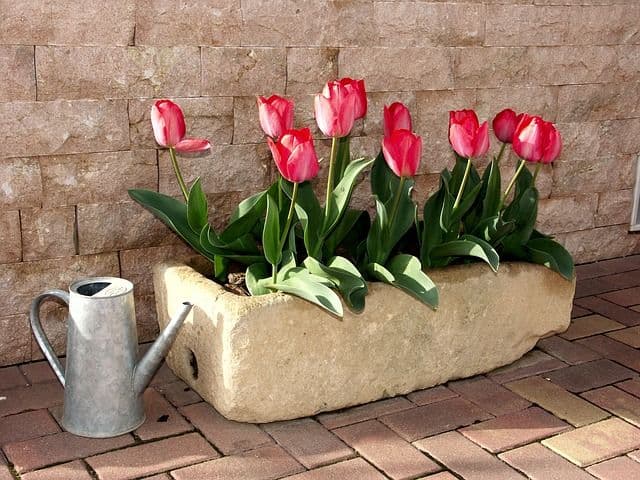 Flowers and stone pavers_Different types of patio finishes