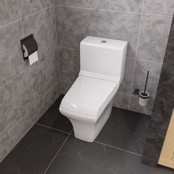 toilet_Renovation Inspiration: 7 Toilet Types