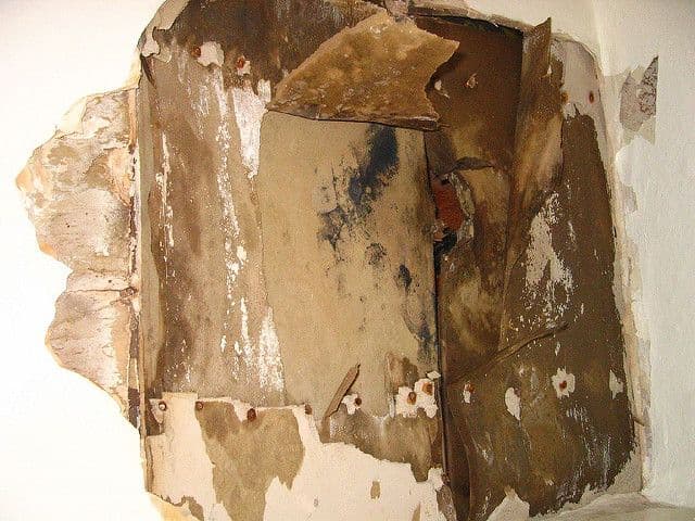 Mouldy wall related to APCHQ's Mould Control Certification