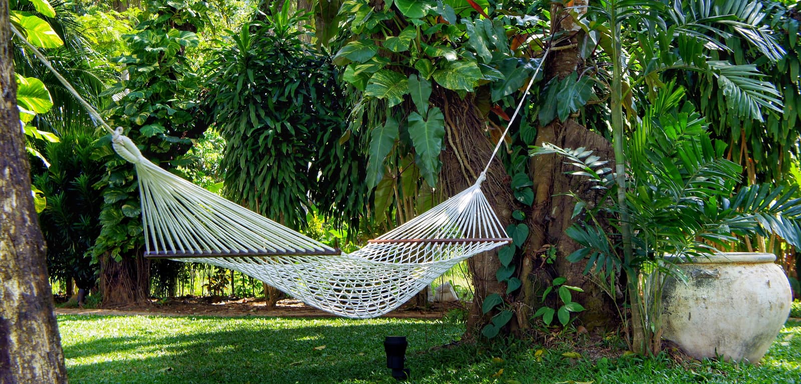 Hammock