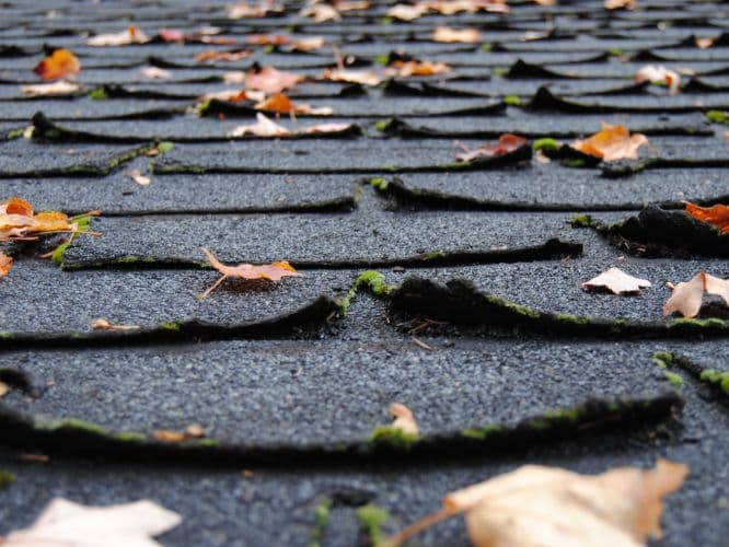 Asphalt shingle roof damage_Solutions for a wind-damaged roof: Replacing or Repairing