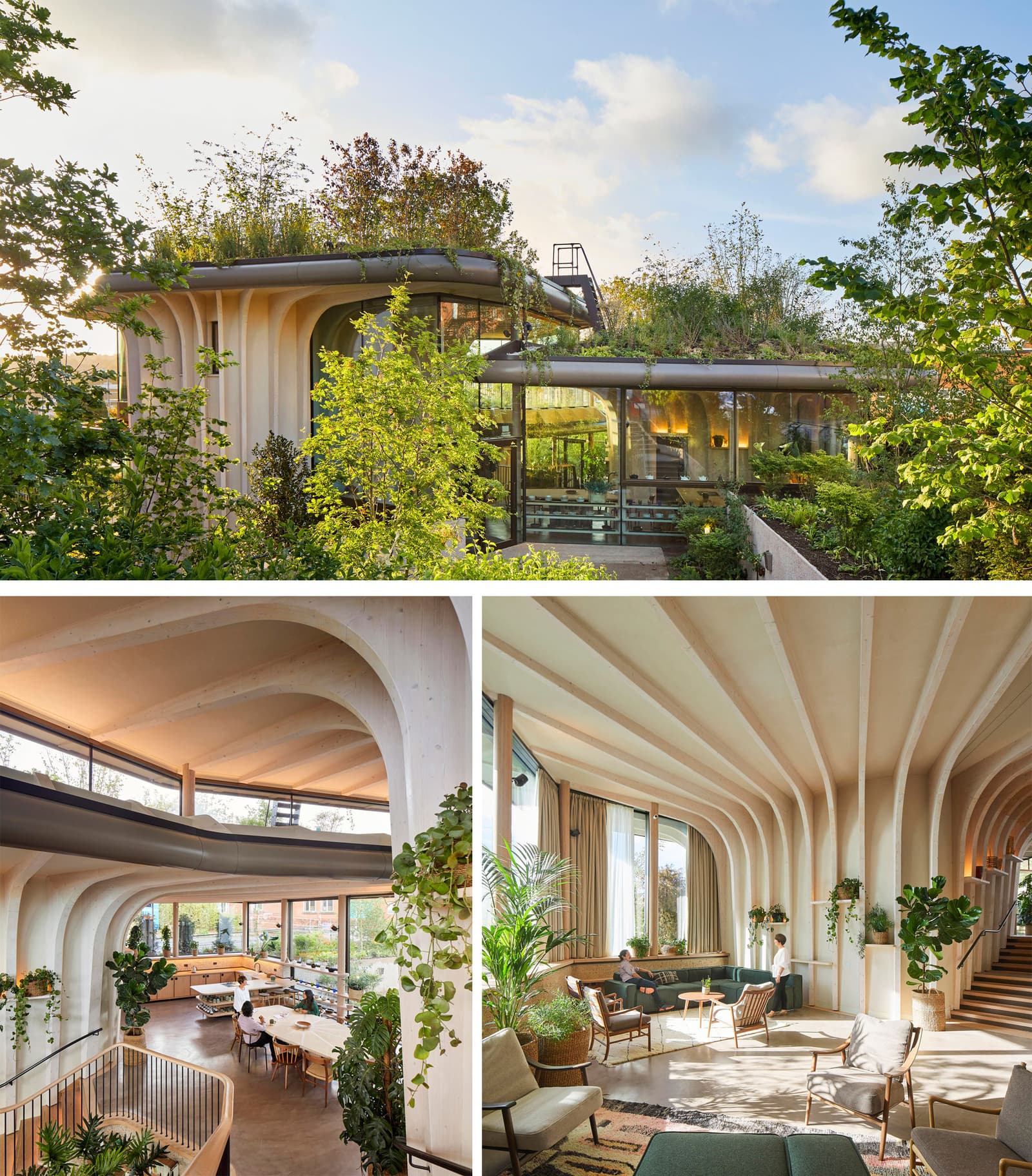 maggies-leed-center-dezeen_Biophilic design: a starting guide_RenoQuotes