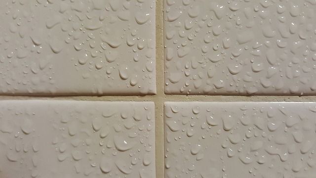 wet tiles_Maintenance Tips for Bathroom Tiles_RenoQuotes.com