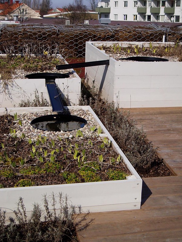 green roof_All About Residential Roofs