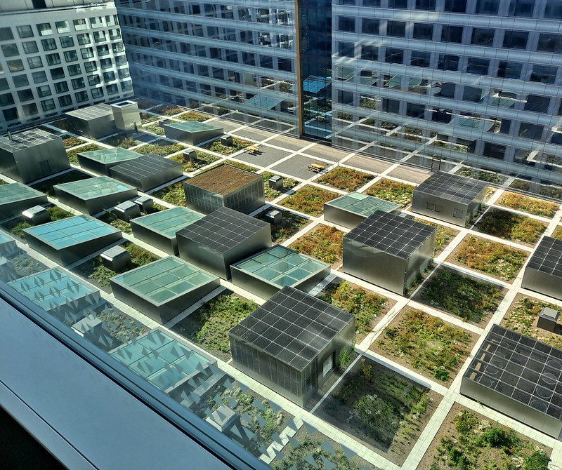 roof_the blue roof: a new, eco-friendly concept